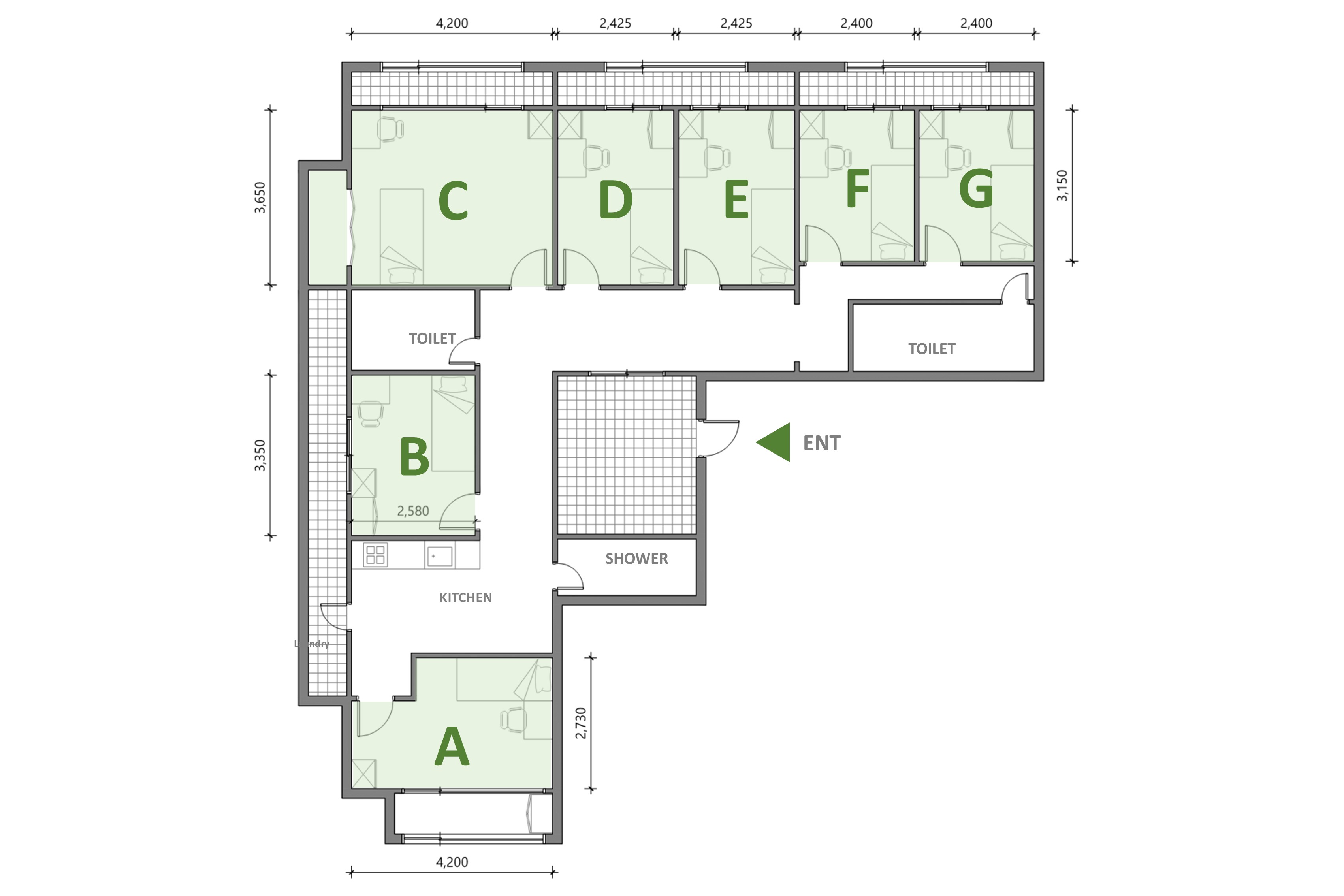 branch-image-8