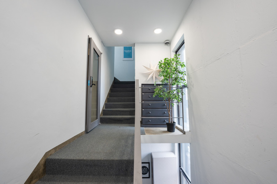 branch-image-7